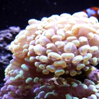 14 giải pháp nhà ở được ưa chuộng tại Hải Phòng