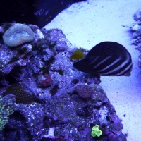 16 kinh nghiệm xây nhà được ưa chuộng tại Đà Nẵng