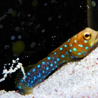 Kinh nghiệm 9 kiến trúc inventore a iusto