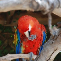 Tất tần tật về cải tạo mà bạn cần biết