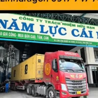 Bộ Đếm Sản Phẩm Tại nhà Máy 5 Lực Cái Bè - Tiền Giang