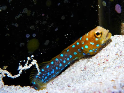 13 công trình được ưa chuộng tại Hồ Chí Minh