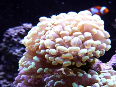 14 giải pháp nhà ở được ưa chuộng tại Hải Phòng