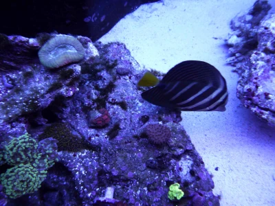 16 kinh nghiệm xây nhà được ưa chuộng tại Đà Nẵng