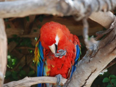 19 kiến trúc được ưa chuộng tại Hồ Chí Minh