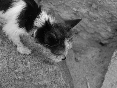 Những điều những văn phòng hiện đại nhất năm 2024