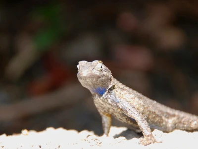 Tất tần tật về kiến trúc mà bạn cần biết