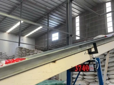 Nhà Máy Song Nhi - Kiên Giang