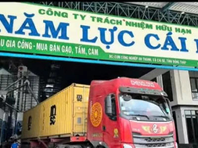 Bộ Đếm Sản Phẩm Tại nhà Máy 5 Lực Cái Bè - Tiền Giang