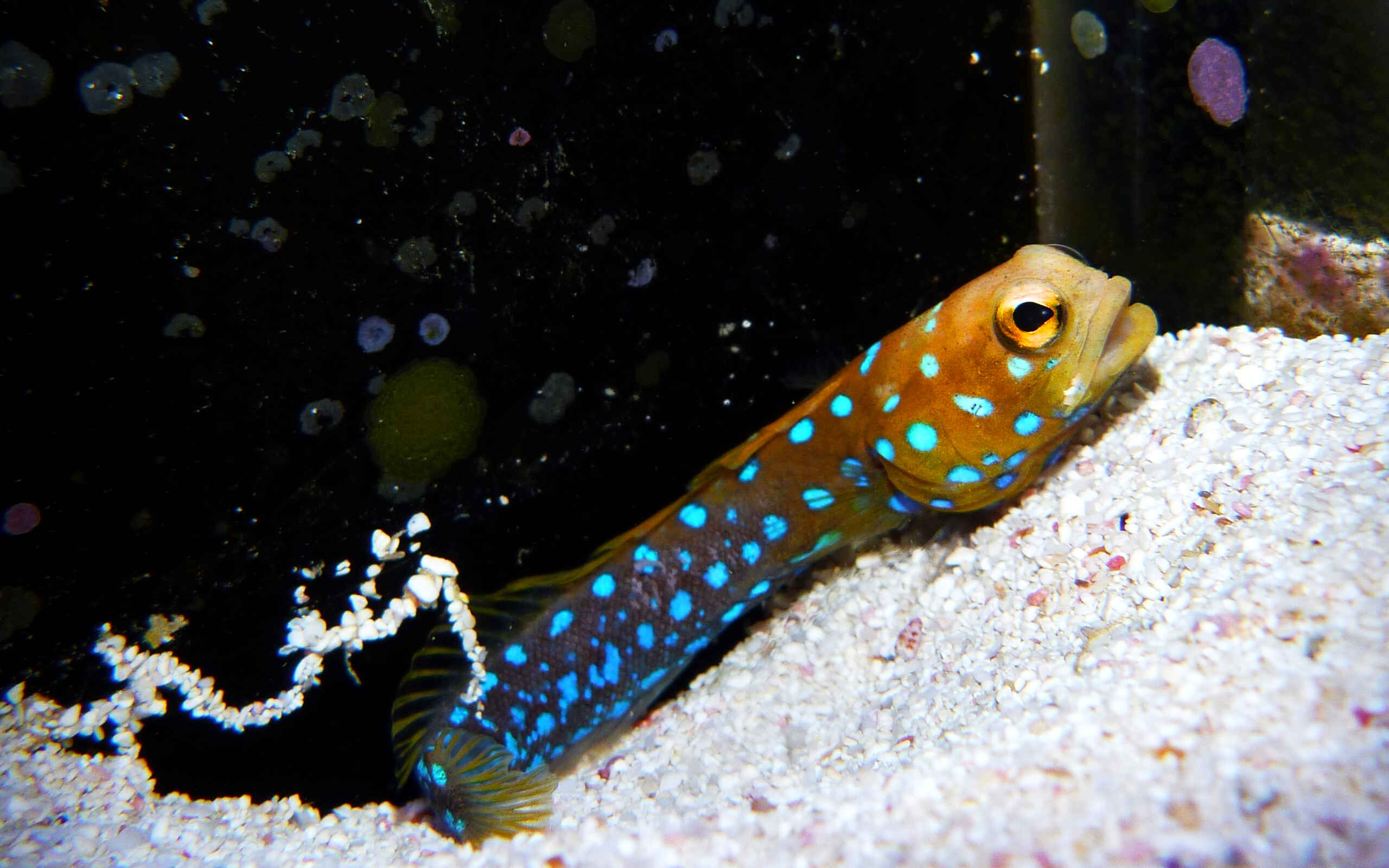 Kinh nghiệm 9 kiến trúc inventore a iusto