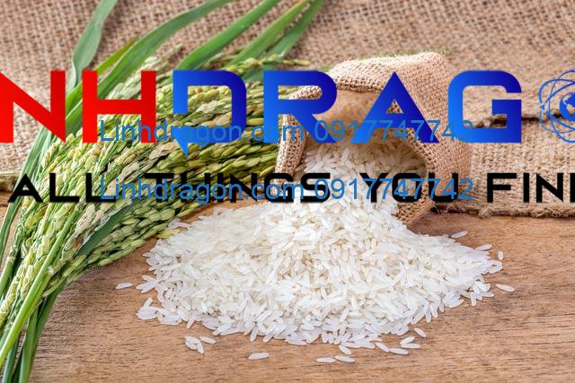 Gạo ST25 là gạo gì? Tất tần tật những điều cần biết về loại gạo đặc biệt này