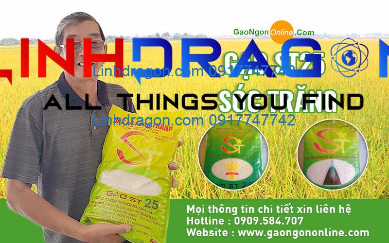 Gạo ST25 là gạo gì? Tất tần tật những điều cần biết về loại gạo đặc biệt này
