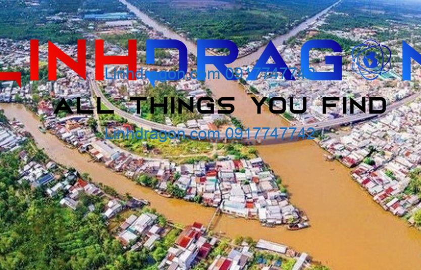 Sản lượng gạo của đồng bằng sông Cửu Long Tình hình và triển vọng